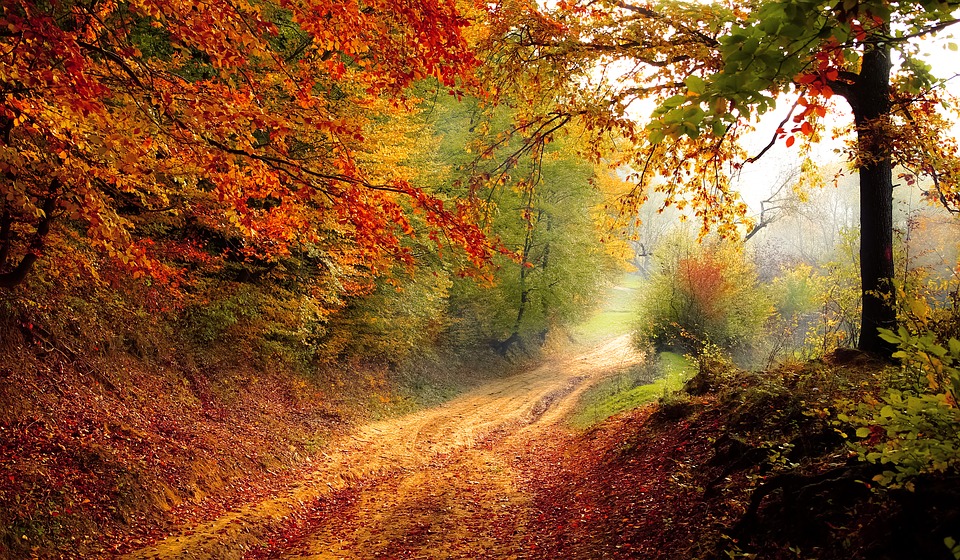automne
